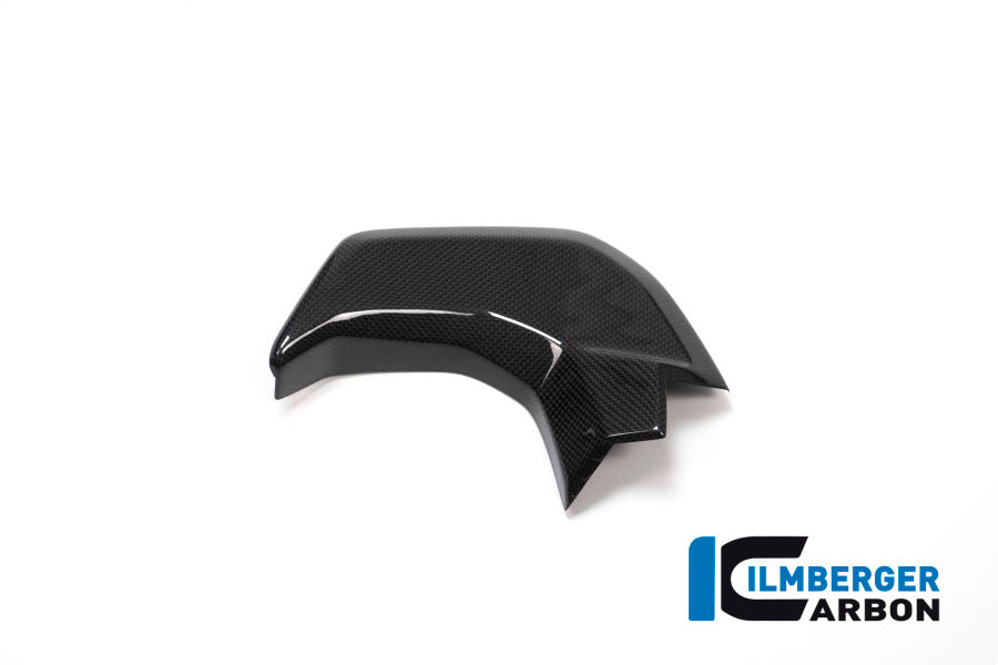 Ilmberger Carbon Cover Near The Instrument Left Side Surface Ducati MTS 2015 - Gloss