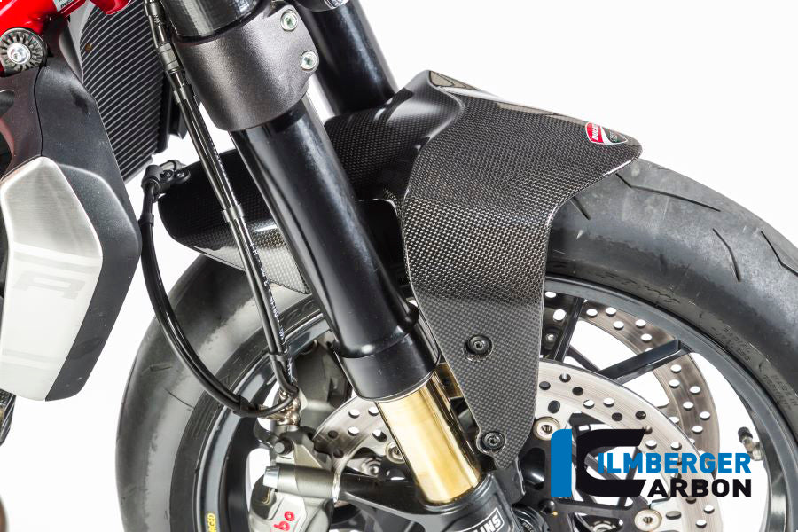 Ilmberger Carbon Front Fender Ducati Monster 1200 - Gloss