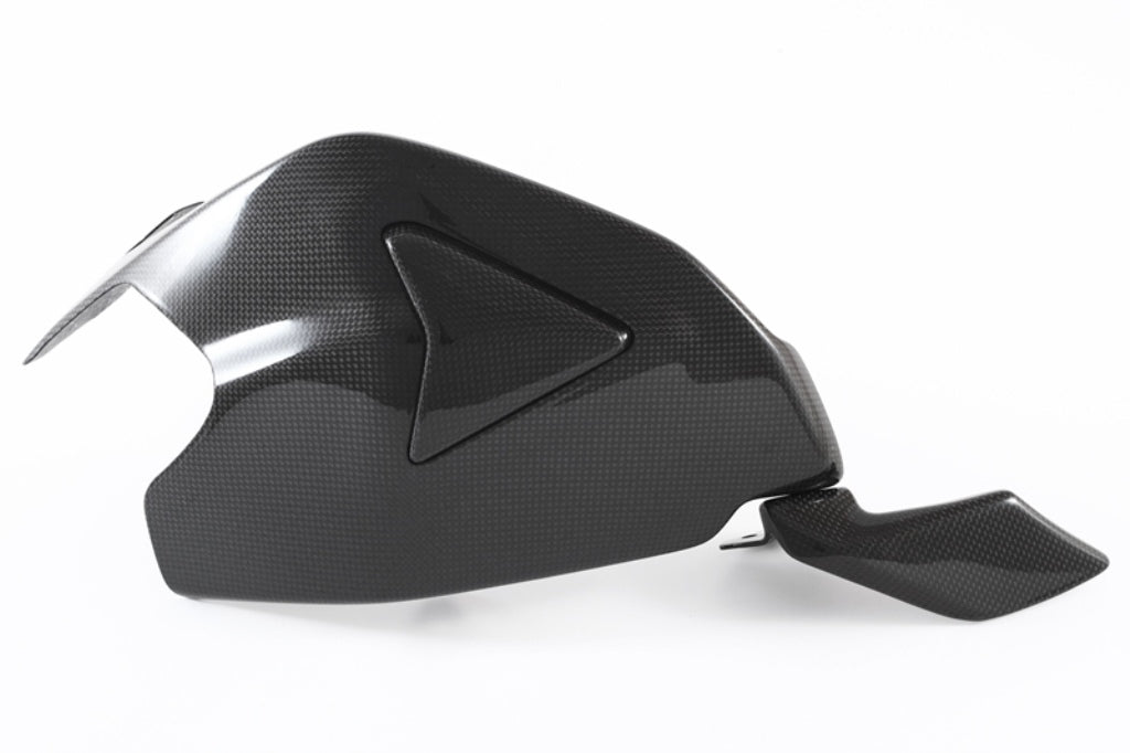 Fullsix Carbon SWINGARM GUARD With SLIDER And SHARK FIN