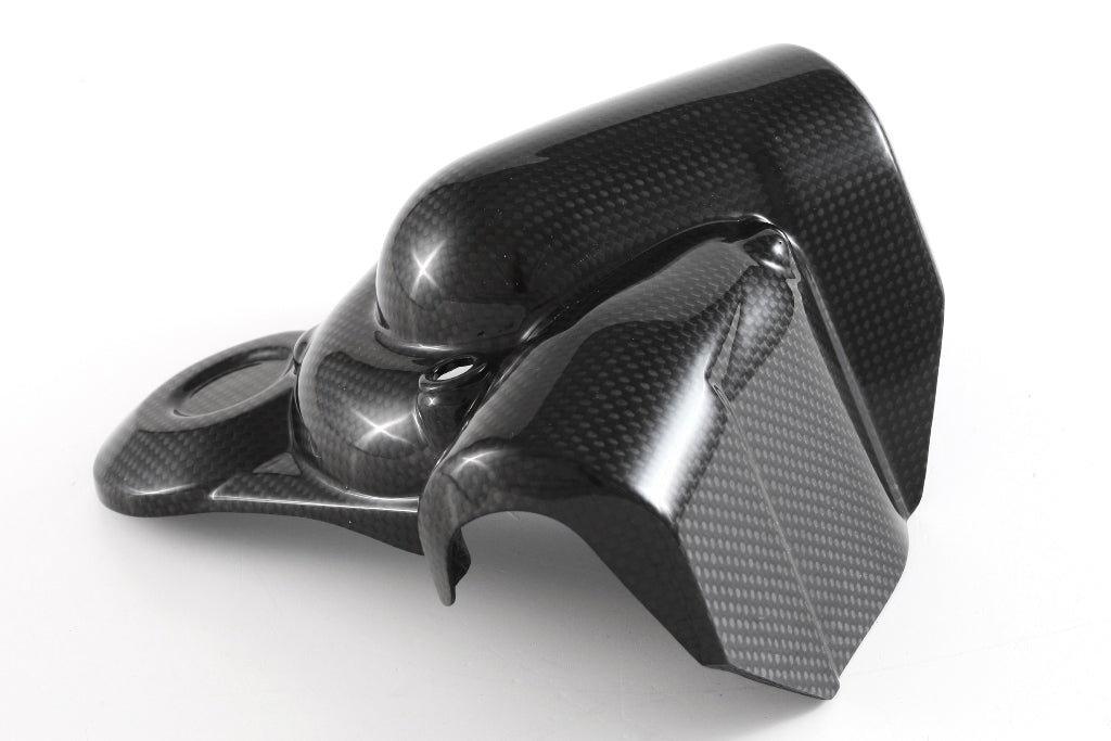 Fullsix Carbon Water Pump Protection