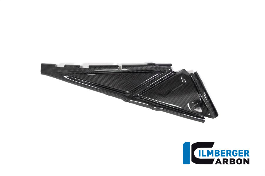 Ilmberger Carbon Subframe Cover Right Side BMW R 1250 GS