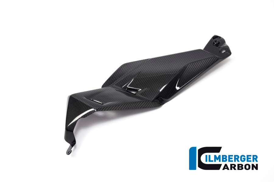 Ilmberger Carbon Airvent Cover Left Side BMW R 1250 GS
