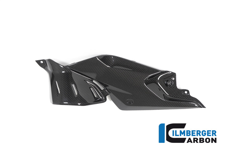 Ilmberger Carbon Side Panel Under The Tank Left BMW R 1250 R