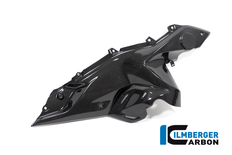 Ilmberger Carbon Side Panel Under The Tank Right Side BMW R 1250 RS