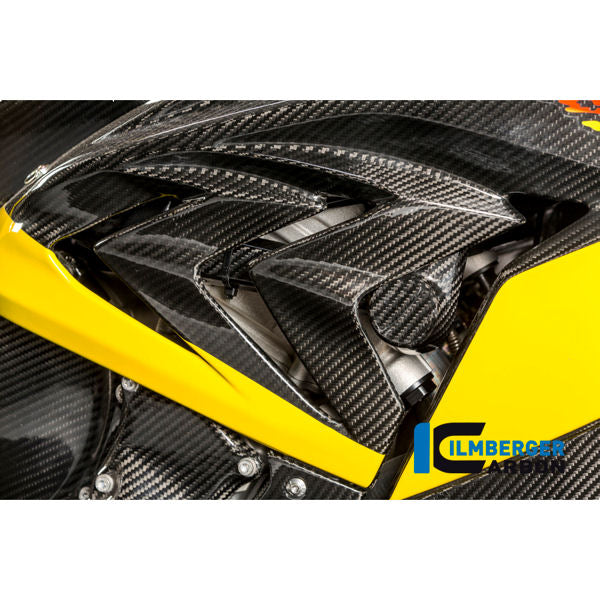 Ilmberger Carbon Fiber Frame Slider Crash Pads for BMW S1000RR