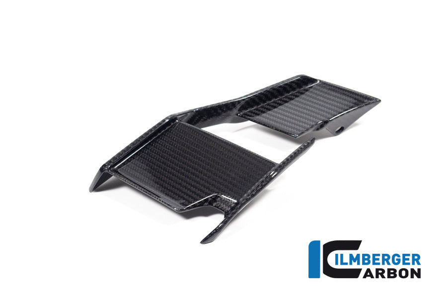 Ilmberger Carbon Winglet Left BMW M1000R 2023