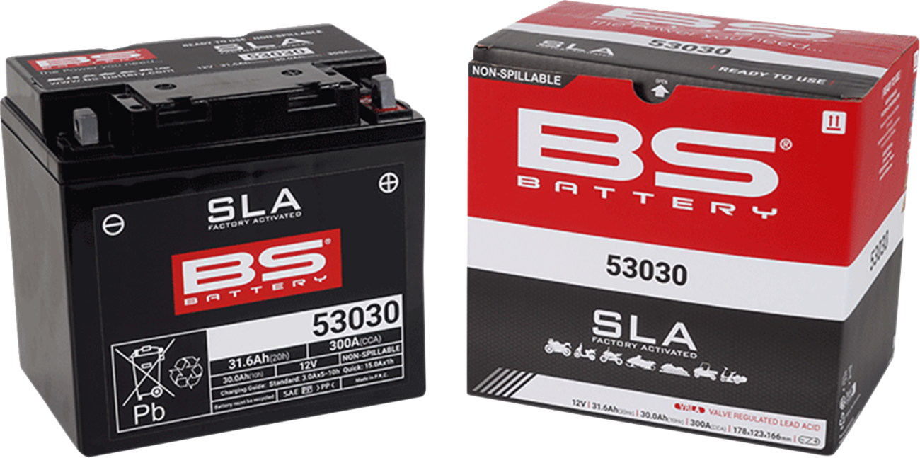 BS Battery Battery - 53030