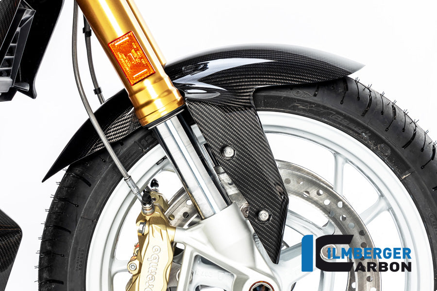 Ilmberger Carbon Front Fender BMW R 1250 R MY From 2019