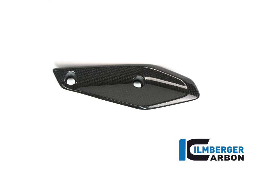 Ilmberger Carbon Verkleidungswinglet Links BMW R 1200 RS'15