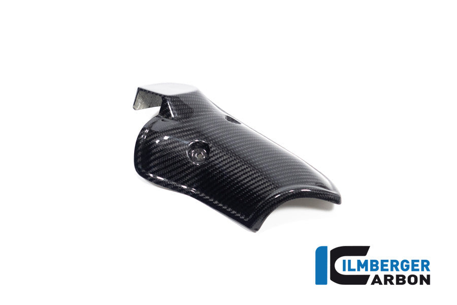 Ilmberger Carbon Exhaust Heat Shield BMW R 1300 GS - Gloss / Twill
