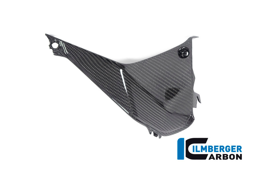 Ilmberger Carbon Cover Near The Instrument Right Side BMW R 1250 RS