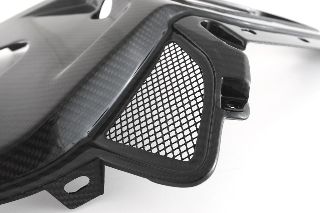 Fullsix Carbon Seat / Tail - Center