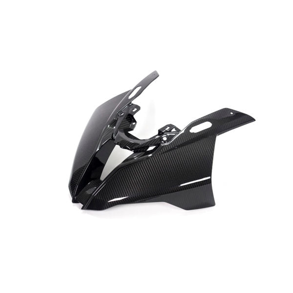 Ilmberger Carbon Fiber Headlight Front Fairing Panel BMW S1000RR K67