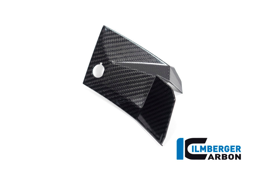 Ilmberger Carbon Cover Near The Instruments Left Side S 1000 XR From MY 2020