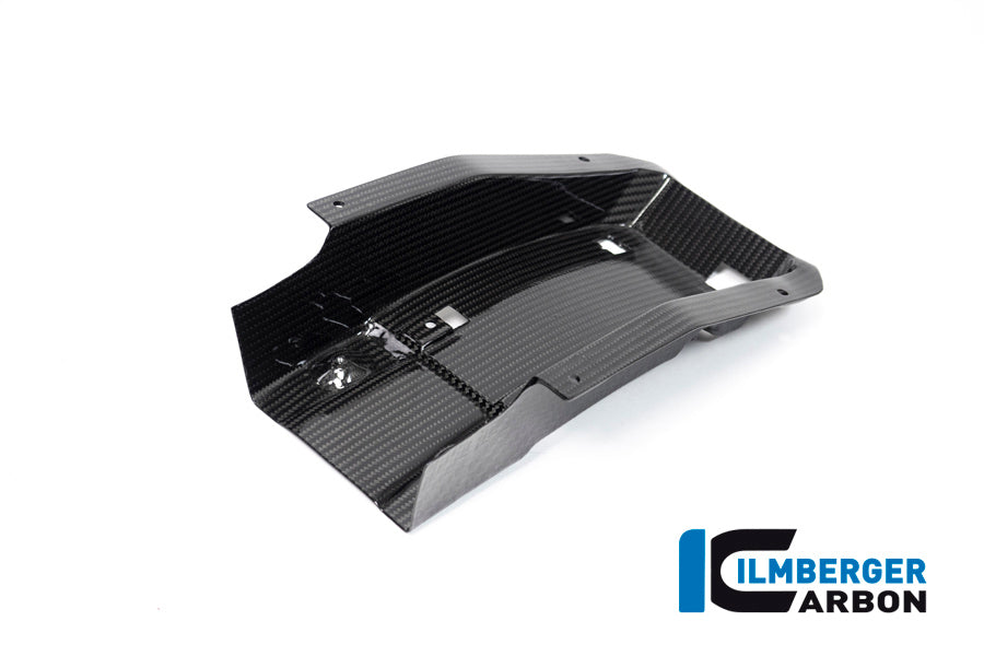 Ilmberger Carbon Seat Unit Racing BMW M 1000 RR / S 1000 RR MY From 2019
