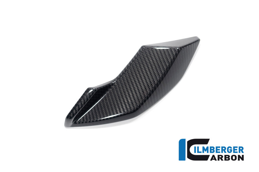 Ilmberger Carbon Side Cover Headlight Right Side BMW S 1000 R MY From 2021 / M 1000 R MY From 2023