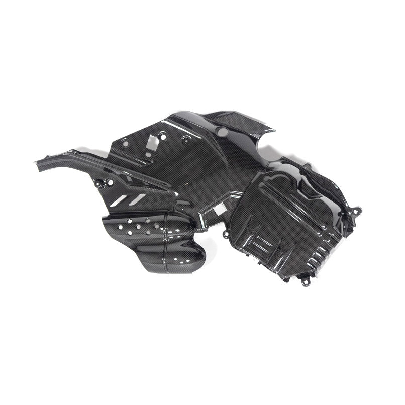 Ilmberger Carbon Fiber Left Side Engine Cover Ducati Diavel V4