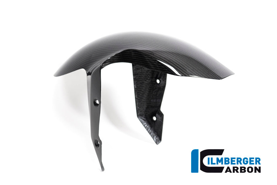 Ilmberger Carbon Front Fender BMW R 1250 R MY From 2019