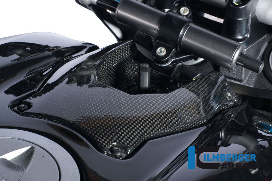 Ilmberger Carbon Ignition Lock Cover Carbon