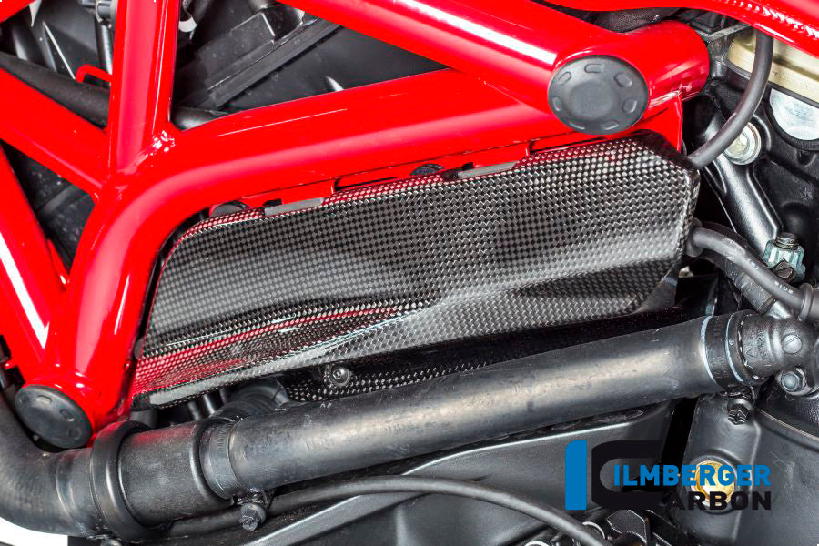 Ilmberger Carbon Cover Under The Frame Left - Gloss