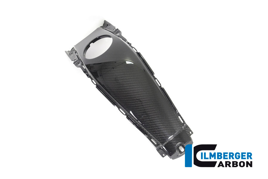 Ilmberger Carbon Tank Centre Panel - BMW K 1600 GT / K 1600 GTL / K 1600 Bagger