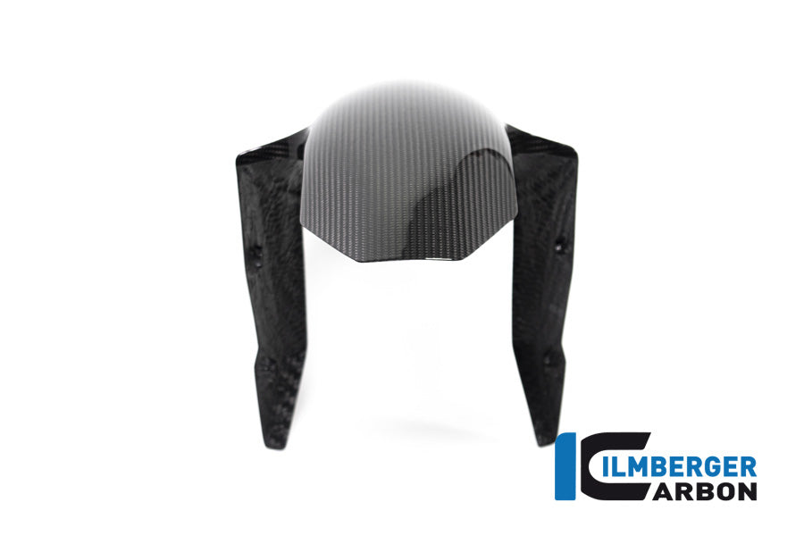 Ilmberger Carbon Front Fender BMW R 1250 R MY From 2019