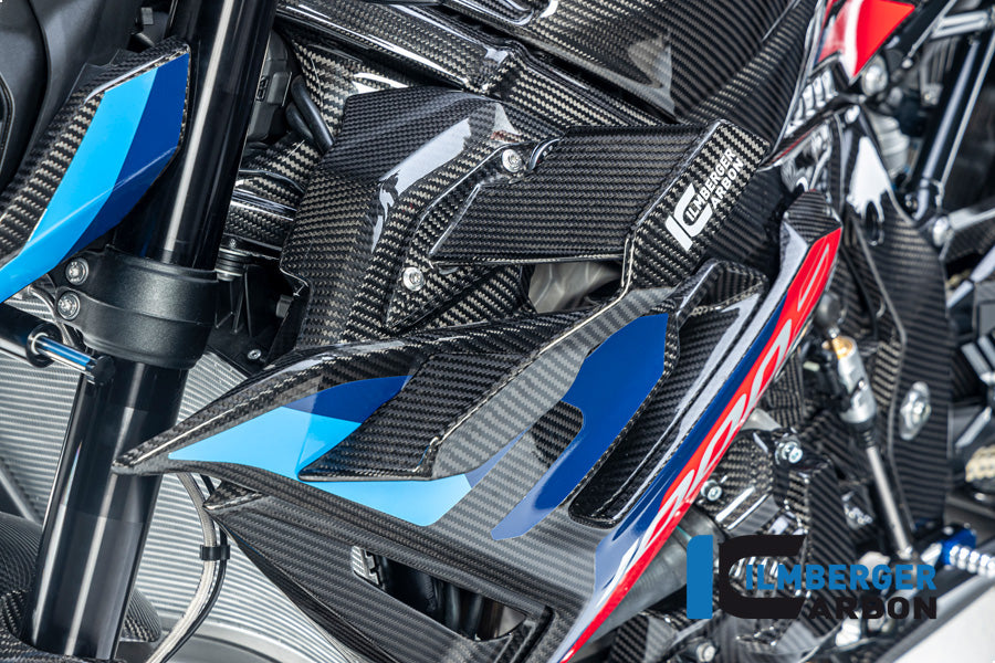 Ilmberger Carbon Winglet Left BMW M1000R 2023