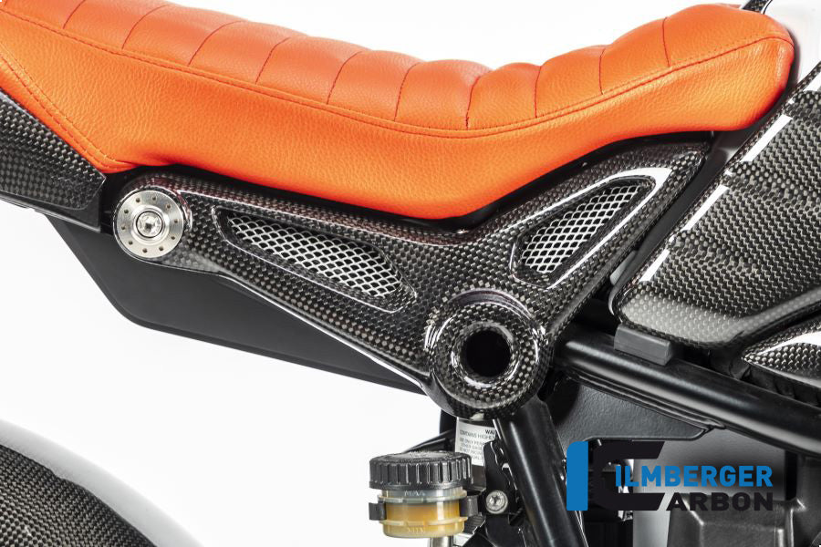 Ilmberger Carbon REAR FRAME COVER RIGHT BMW R NineT