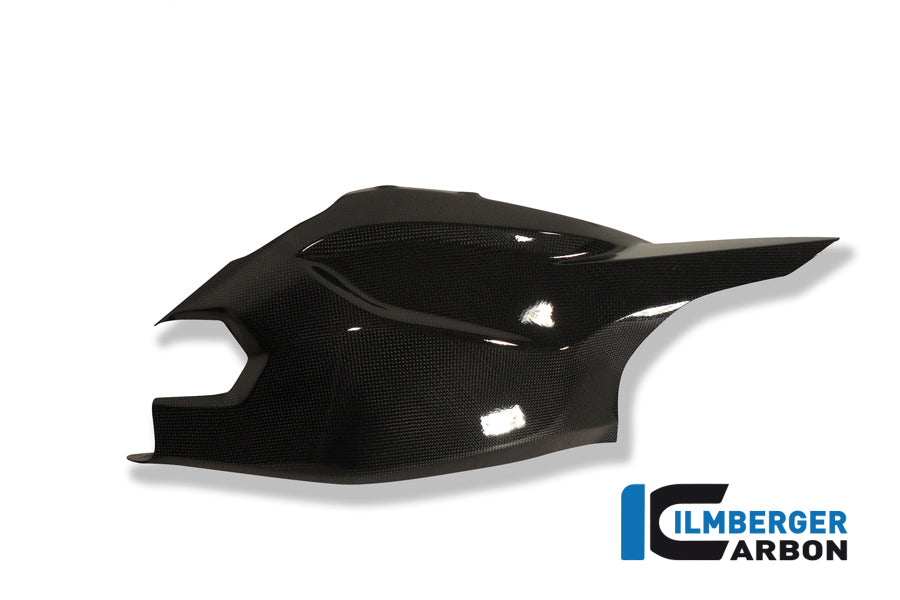 Ilmberger Carbon Swingarm / Chain Guard Upper - Gloss