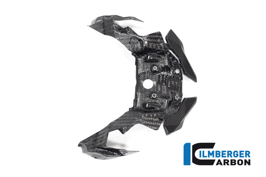 Ilmberger Carbon Front Beak Extension S 1000 XR From MY 2020