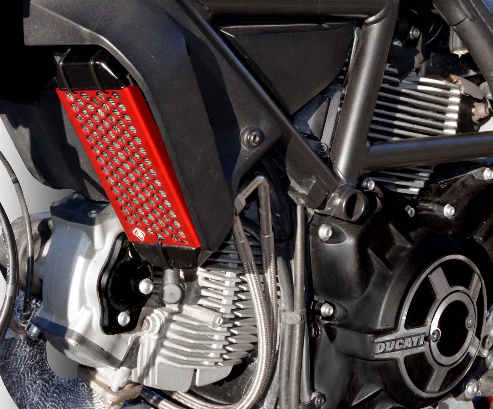 Ducabike DBK GR03 Scrambler Oil Cooler Guard