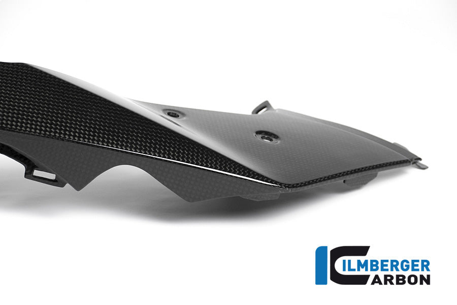 Ilmberger Carbon Front Beak / Upper Fender Left Part