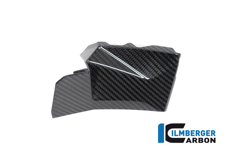 Ilmberger Carbon Cover Near The Instruments Right Side S 1000 XR From MY 2020
