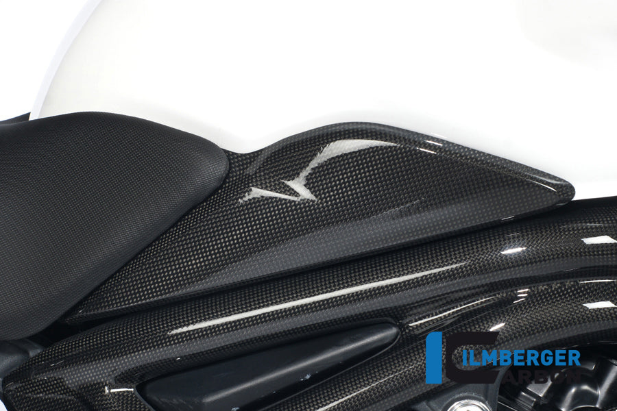 Ilmberger Carbon Tank Side Cover Right Carbon