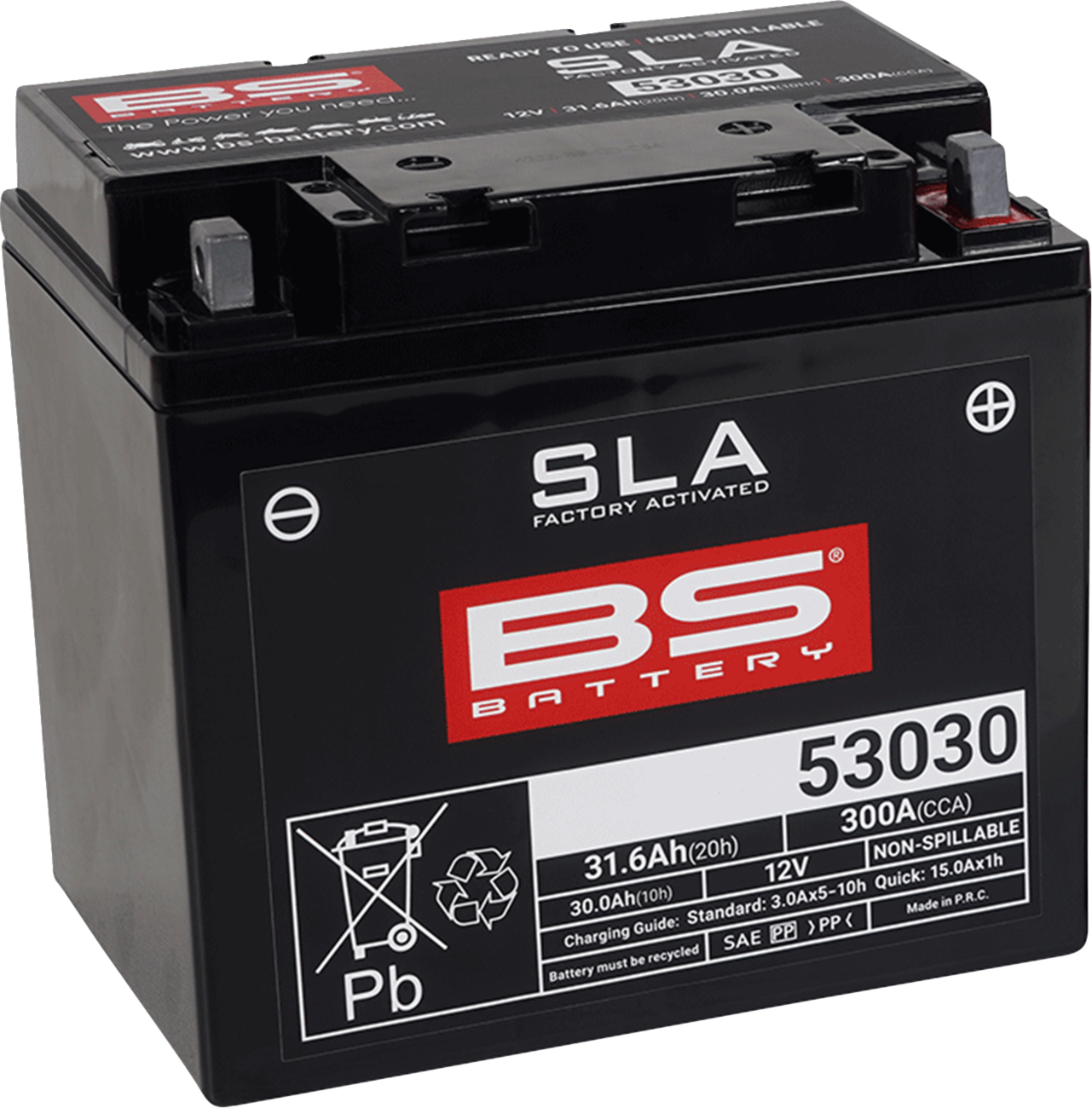 BS Battery Battery - 53030