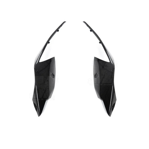 Ilmberger Carbon Fiber Rear Tail Side Panel Set For S1000RR 2019 2020 - Set