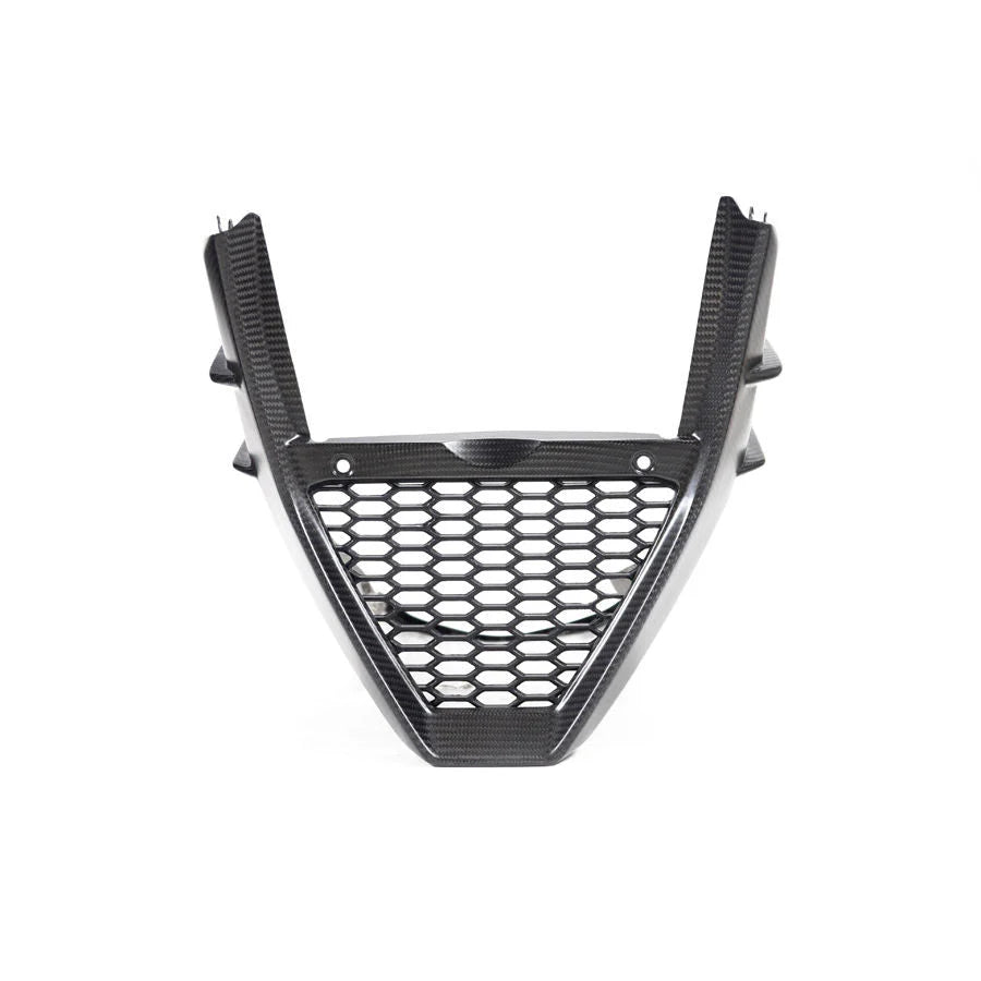 Ilmberger Carbon Fiber Bellypan Fairing Aprilia Tuono V4 1100 Factory