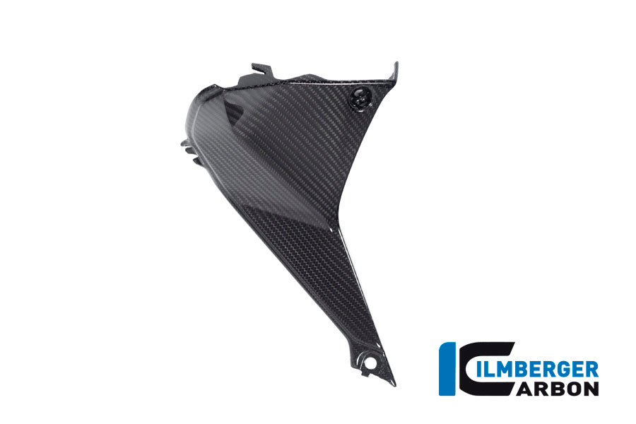 Ilmberger Carbon Cover Near The Instrument Left Side BMW R 1250 RS´19