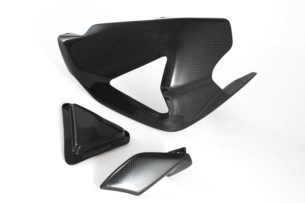 Fullsix Carbon SWINGARM GUARD With SLIDER And SHARK FIN