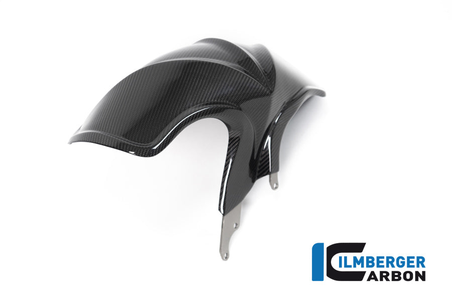 Ilmberger Carbon Rear Hugger BMW R 1250 R (LC) 2019
