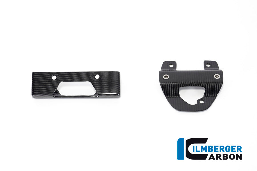 Ilmberger Carbon Bellypan BMW R 1250 R (LC) 2019
