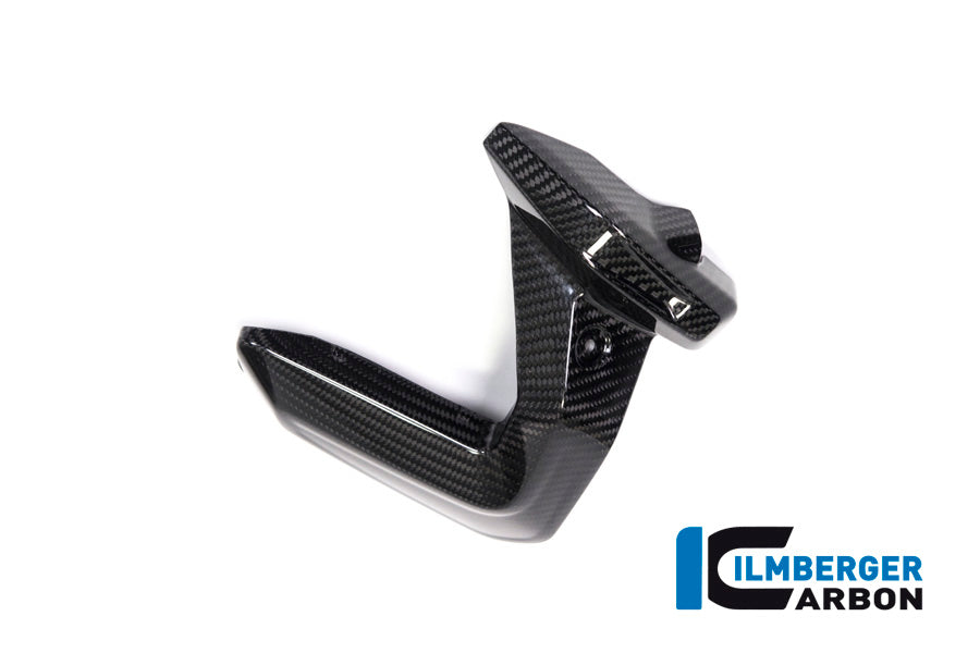 Ilmberger Carbon Spark Plug Cover Left Side BMW R 1250 GS / R 1250 R, And RS