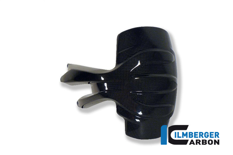 Ilmberger Carbon Splash Guard BMW 1200GS '13