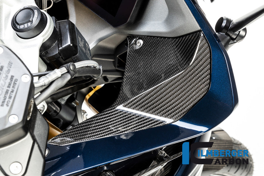 Ilmberger Carbon Cover Near The Instrument Right Side BMW R 1250 RS