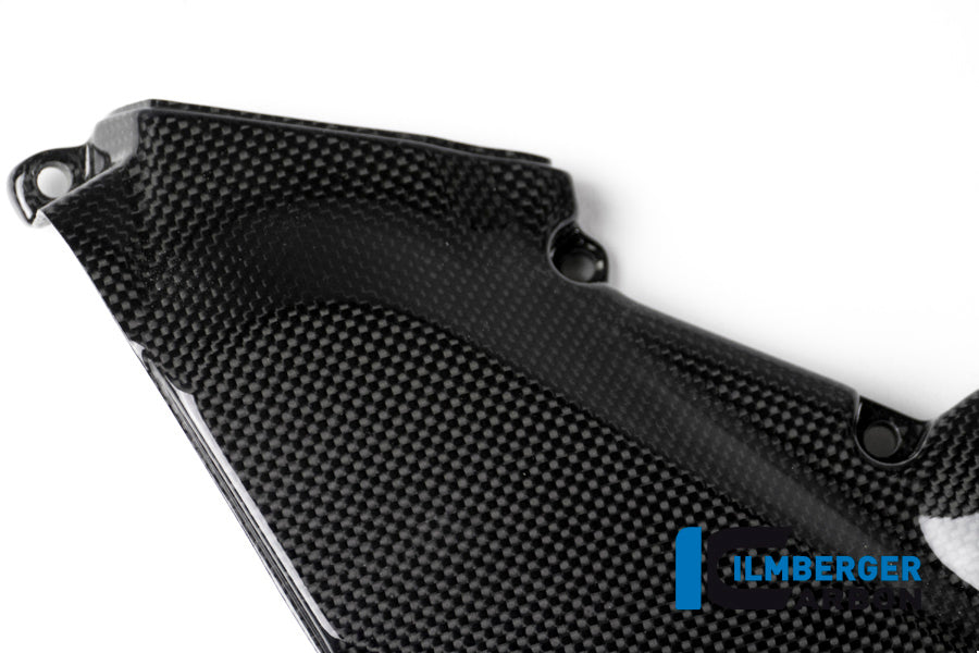 Ilmberger Carbon Horizontal Timing Belt Cover Surface - Gloss