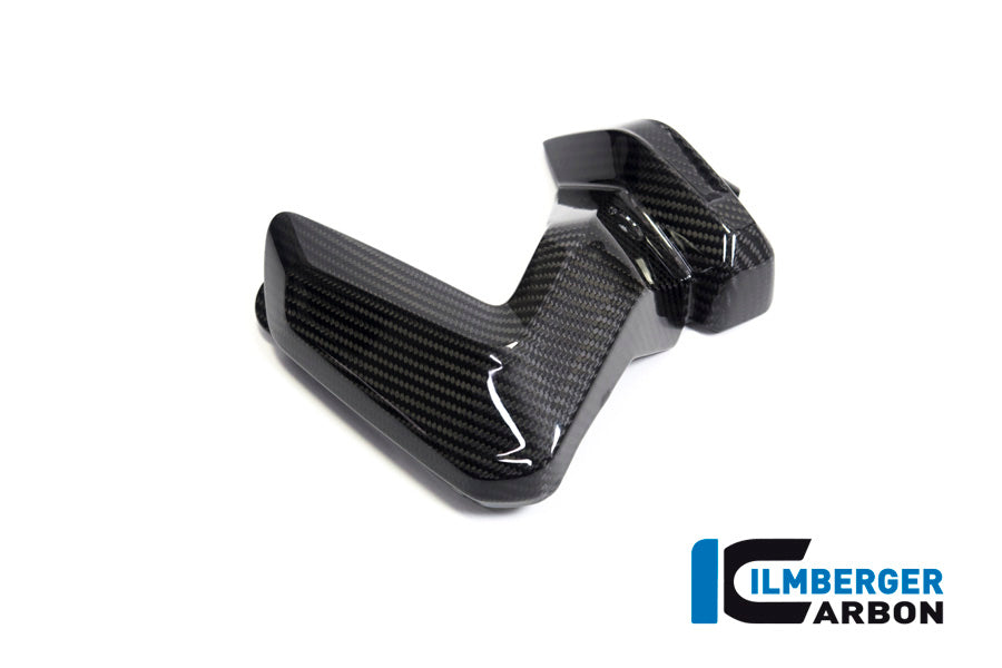 Ilmberger Carbon Spark Plug Cover Left Side BMW R 1250 GS / R 1250 R, And RS