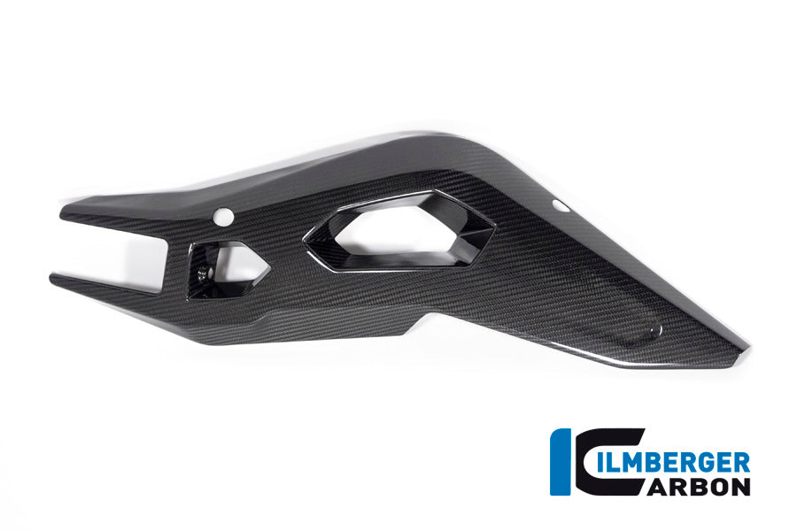 Ilmberger Carbon Swing Arm Cover Right Side BMW S 1000 XR From MY 2020