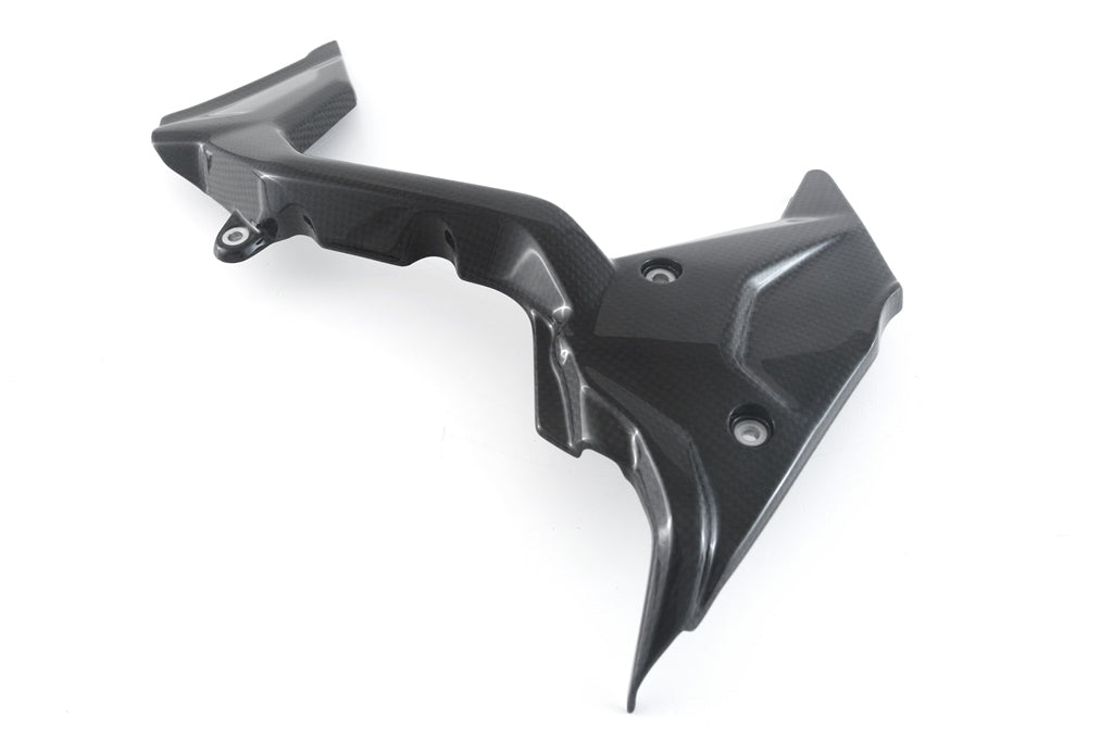 Fullsix Carbon Sprocket Cover