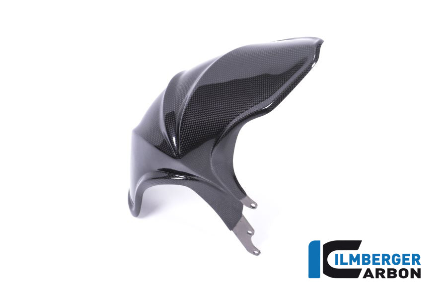 Ilmberger Carbon Rear Fender BMW R 1200 R/RS '18