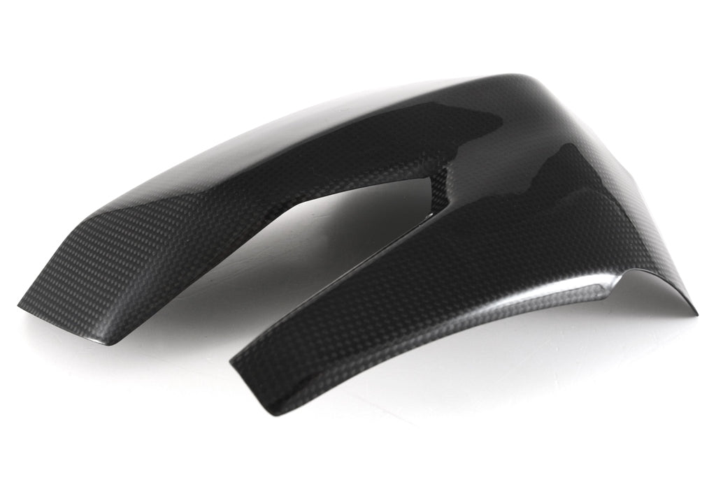 Fullsix Carbon Swingarm Guard